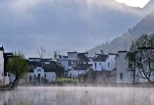 茶香四溢满申城，上海喝茶外卖VX温暖每一颗心